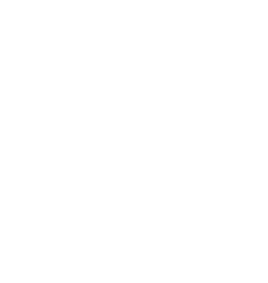 Kratos Security - brand/iconos - confianza